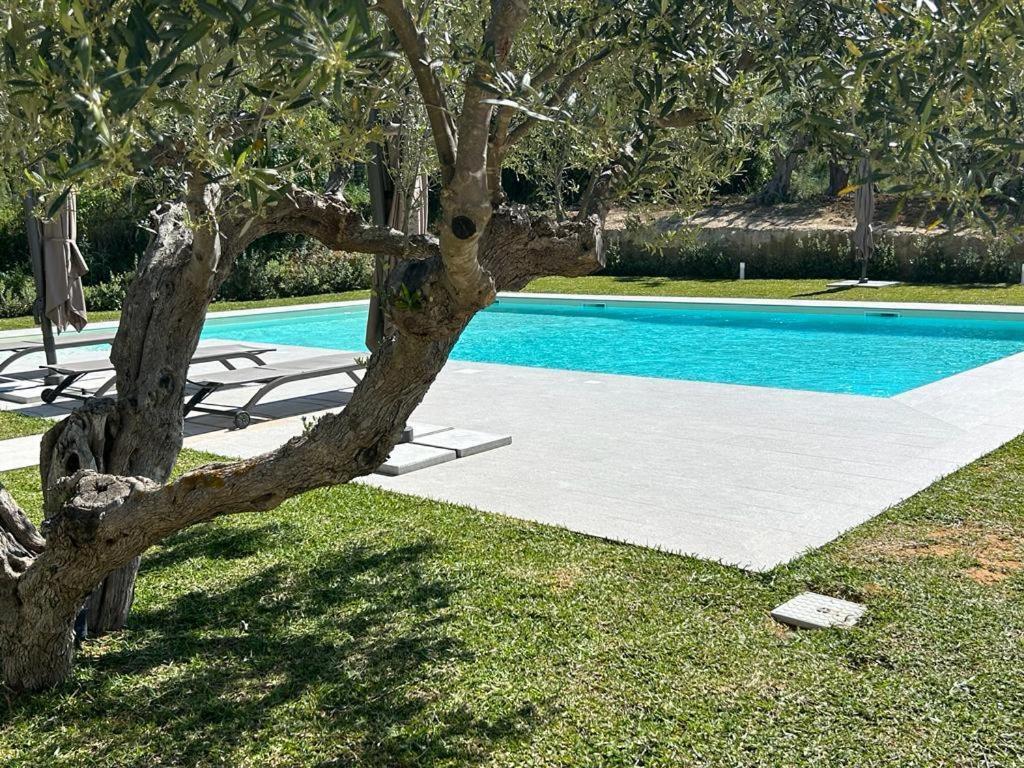 Civetta Blu Bed & Breakfast Castellammare del Golfo Exterior photo